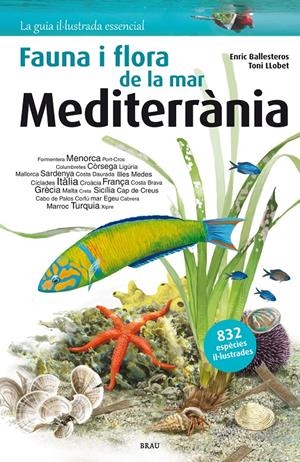 FAUNA I FLORA DE LA MAR MEDITERRÀNIA | 9788415885252 | BALLESTEROS SAGARRA, ENRIC | Galatea Llibres | Llibreria online de Reus, Tarragona | Comprar llibres en català i castellà online