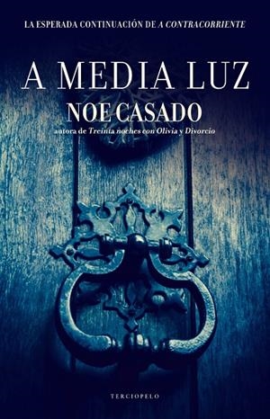 A MEDIA LUZ | 9788415952015 | CASADO, NOE | Galatea Llibres | Librería online de Reus, Tarragona | Comprar libros en catalán y castellano online