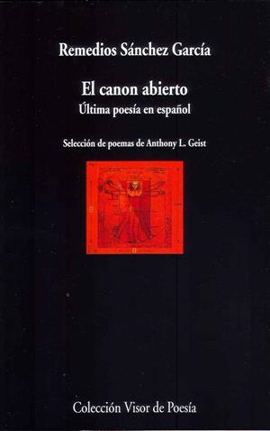 EL CANON ABIERTO | 9788498959086 | SÁNCHEZ GARCÍA, REMEDIOS | Galatea Llibres | Librería online de Reus, Tarragona | Comprar libros en catalán y castellano online