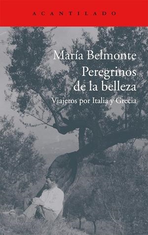 PEREGRINOS DE LA BELLEZA | 9788416011513 | BELMONTE, MARÍA | Galatea Llibres | Llibreria online de Reus, Tarragona | Comprar llibres en català i castellà online