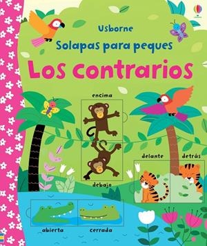 LOS CONTRARIOS | 9781409587996 | BROOKS FELICITY | Galatea Llibres | Librería online de Reus, Tarragona | Comprar libros en catalán y castellano online