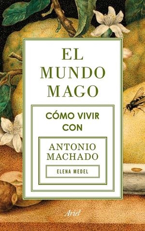EL MUNDO MAGO | 9788434422353 | MEDEL, ELENA | Galatea Llibres | Librería online de Reus, Tarragona | Comprar libros en catalán y castellano online
