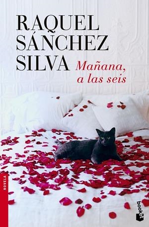 MAÑANA, A LAS SEIS | 9788408140498 | SÁNCHEZ SILVA, RAQUEL | Galatea Llibres | Librería online de Reus, Tarragona | Comprar libros en catalán y castellano online