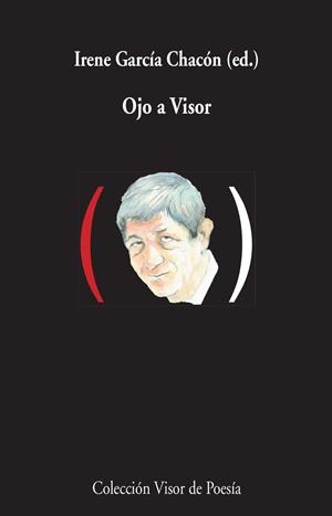 OJO A VISOR | 9788498959000 | GARCÍA CHACÓN, IRENE | Galatea Llibres | Librería online de Reus, Tarragona | Comprar libros en catalán y castellano online