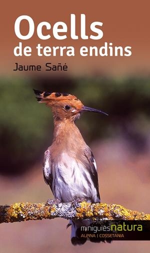 OCELLS DE TERRA ENDINS | 9788490343357 | SAÑÉ, JAUME | Galatea Llibres | Librería online de Reus, Tarragona | Comprar libros en catalán y castellano online