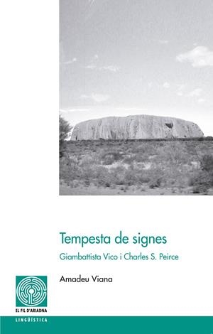 TEMPESTA DE SIGNES | 9788499756493 | VIANA SAN ANDRÉS, AMADEU | Galatea Llibres | Librería online de Reus, Tarragona | Comprar libros en catalán y castellano online