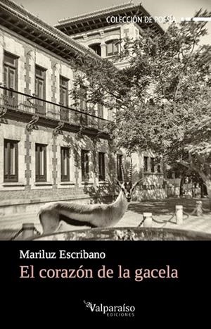 EL CORAZÓN DE LA GACELA | 9788494415838 | ESCRIBANO PUEO, MARILUZ | Galatea Llibres | Librería online de Reus, Tarragona | Comprar libros en catalán y castellano online