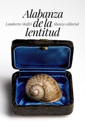 ALABANZA DE LA LENTITUD | 9788491042181 | MAFFEI, LAMBERTO | Galatea Llibres | Llibreria online de Reus, Tarragona | Comprar llibres en català i castellà online