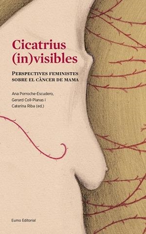 CICATRIUS (IN)VISIBLES | 9788497665643 | PORROCHE ESCUDERO, ANA/COLL PLANAS, GERARD/RIBA SANMARTÍ, CATERINA | Galatea Llibres | Librería online de Reus, Tarragona | Comprar libros en catalán y castellano online