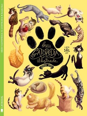 BREU GATOPÈDIA IL·LUSTRADA | 9788494469886 | ZARO SOTO, ZORAIDA | Galatea Llibres | Librería online de Reus, Tarragona | Comprar libros en catalán y castellano online