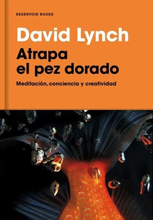 ATRAPA EL PEZ DORADO | 9788416709014 | LYNCH, DAVID | Galatea Llibres | Llibreria online de Reus, Tarragona | Comprar llibres en català i castellà online