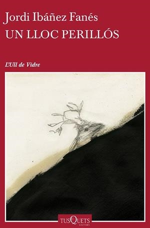 UN LLOC PERILLÓS | 9788490662854 | IBÁÑEZ FANÉS, JORDI | Galatea Llibres | Llibreria online de Reus, Tarragona | Comprar llibres en català i castellà online