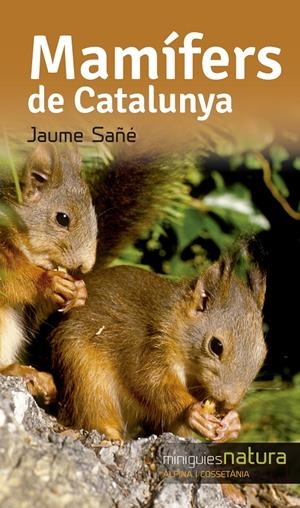 MAMÍFERS DE CATALUNYA | 9788490344811 | SAÑÉ, JAUME | Galatea Llibres | Librería online de Reus, Tarragona | Comprar libros en catalán y castellano online