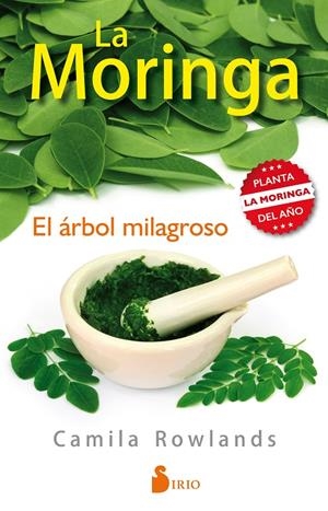 LA MORINGA, EL ÁRBOL MILAGROSO | 9788416579334 | ROWLANDS, CAMILA | Galatea Llibres | Librería online de Reus, Tarragona | Comprar libros en catalán y castellano online