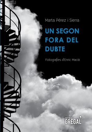 UN SEGON FORA DEL DUBTE | 9788494564833 | PÉREZ I SIERRA, MARTA | Galatea Llibres | Librería online de Reus, Tarragona | Comprar libros en catalán y castellano online
