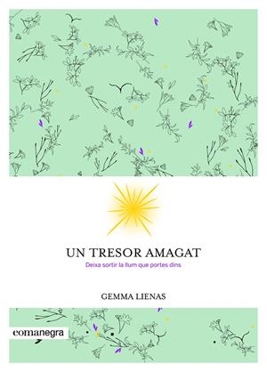 UN TRESOR AMAGAT | 9788416605347 | LIENAS, GEMMA | Galatea Llibres | Llibreria online de Reus, Tarragona | Comprar llibres en català i castellà online