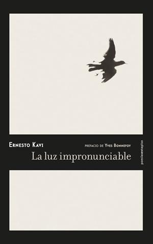 LA LUZ IMPRONUNCIABLE | 9788416677092 | KAVI, ERNESTO | Galatea Llibres | Llibreria online de Reus, Tarragona | Comprar llibres en català i castellà online