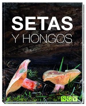 SETAS Y HONGOS | 9783869417776 | KOTHE, HANS W. | Galatea Llibres | Llibreria online de Reus, Tarragona | Comprar llibres en català i castellà online