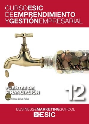 FUENTES DE FINANCIACIÓN | 9788473569484 | PÉREZ DE LAS PEÑAS, ÁLVARO | Galatea Llibres | Librería online de Reus, Tarragona | Comprar libros en catalán y castellano online