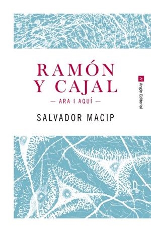 RAMÓN Y CAJAL. ARA I AQUÍ | 9788415307242 | MACIP MARESMA, SALVADOR | Galatea Llibres | Llibreria online de Reus, Tarragona | Comprar llibres en català i castellà online