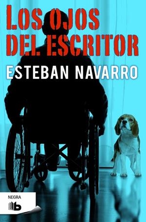 LOS OJOS DEL ESCRITOR | 9788490703083 | NAVARRO, ESTEBAN | Galatea Llibres | Llibreria online de Reus, Tarragona | Comprar llibres en català i castellà online