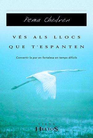 VES ALS LLOCS QUE T'ESPANTEN | 9788483302323 | CHODRON, PEMA | Galatea Llibres | Llibreria online de Reus, Tarragona | Comprar llibres en català i castellà online