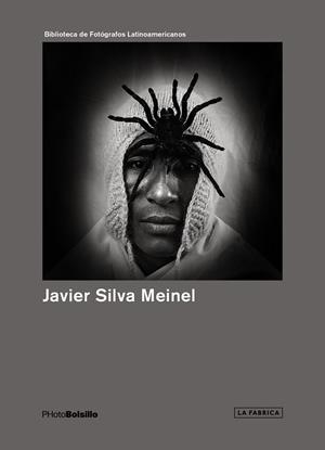 JAVIER SILVA MEINEL | 9788415303831 | SILVA MEINEL, JAVIER | Galatea Llibres | Llibreria online de Reus, Tarragona | Comprar llibres en català i castellà online