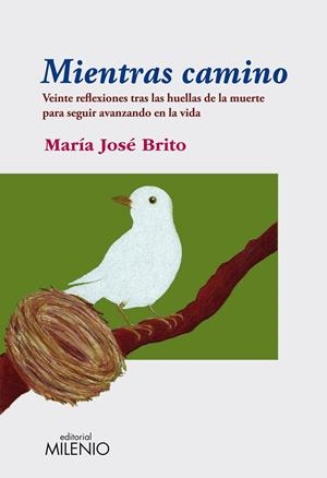 MIENTRAS CAMINO | 9788497434966 | BRITO, MARÍA JOSÉ | Galatea Llibres | Llibreria online de Reus, Tarragona | Comprar llibres en català i castellà online