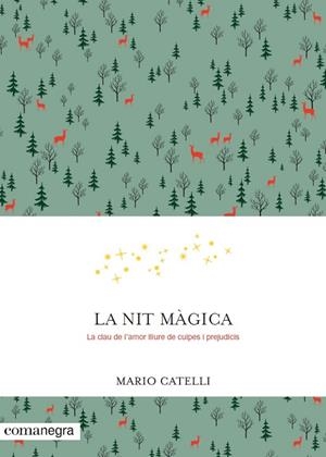 LA NIT MÀGICA | 9788416605552 | CATELLI, MARIO | Galatea Llibres | Librería online de Reus, Tarragona | Comprar libros en catalán y castellano online