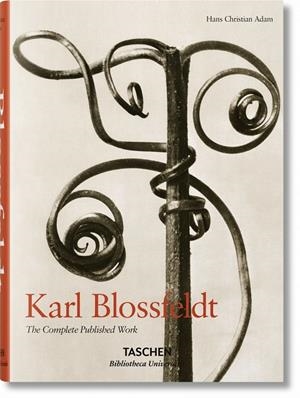 KARL BLOSSFELD | 9783836550734 | ADAM, HANS C. | Galatea Llibres | Librería online de Reus, Tarragona | Comprar libros en catalán y castellano online