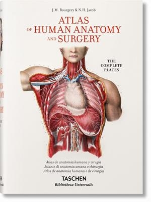 ATLAS OF HUMAN ANATOMY AND SURGERY | 9783836556637 | Galatea Llibres | Llibreria online de Reus, Tarragona | Comprar llibres en català i castellà online