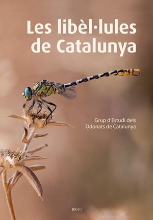 LES LIBÈL·LULES DE CATALUNYA | 9788415885467 | GRUP D'ESTUDIS DELS ODONATS DE CATALUNYA | Galatea Llibres | Llibreria online de Reus, Tarragona | Comprar llibres en català i castellà online