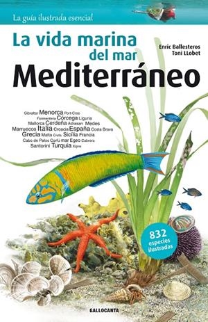 LA VIDA MARINA DEL MAR MEDITERRÁNEO | 9788415885269 | BALLESTEROS SAGARRA, ENRIC | Galatea Llibres | Llibreria online de Reus, Tarragona | Comprar llibres en català i castellà online