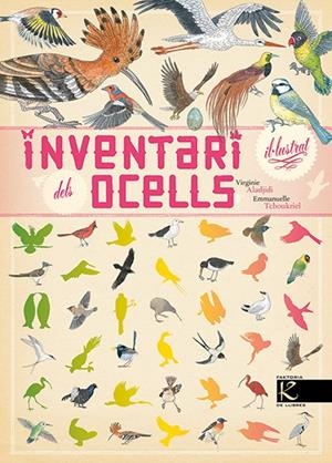 INVENTARI IL.LUSTRAT DELS OCELLS | 9788416721054 | ALADJIDI, VIRGINIE | Galatea Llibres | Llibreria online de Reus, Tarragona | Comprar llibres en català i castellà online