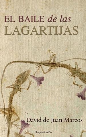 EL BAILE DE LAS LAGARTIJAS | 9788491390473 | DE JUAN MARCOS, DAVID | Galatea Llibres | Librería online de Reus, Tarragona | Comprar libros en catalán y castellano online