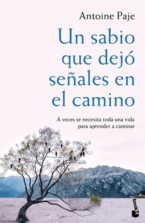 UN SABIO QUE DEJO SEÑALES EN EL CAMINO | 9788408166382 | PAJE, ANTOINE | Galatea Llibres | Llibreria online de Reus, Tarragona | Comprar llibres en català i castellà online