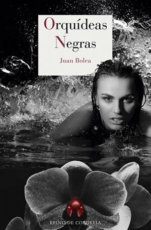 ORQUÍDEAS NEGRAS | 9788416968039 | BOLEA, JUAN | Galatea Llibres | Librería online de Reus, Tarragona | Comprar libros en catalán y castellano online
