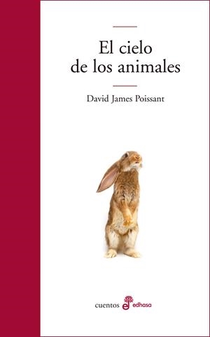 EL CIELO DE LOS ANIMALES | 9788435012416 | POISSANT, DAVID J. | Galatea Llibres | Llibreria online de Reus, Tarragona | Comprar llibres en català i castellà online