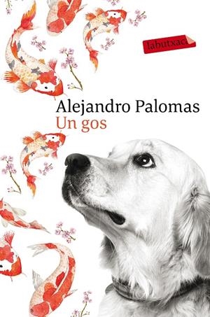 UN GOS | 9788416600625 | PALOMAS, ALEJANDRO | Galatea Llibres | Librería online de Reus, Tarragona | Comprar libros en catalán y castellano online