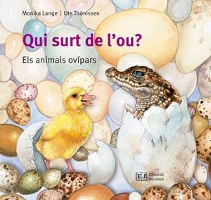 QUI SURT DE L'OU? | 9788426144096 | LANGE, MONIKA | Galatea Llibres | Llibreria online de Reus, Tarragona | Comprar llibres en català i castellà online