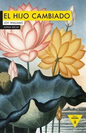 EL HIJO CAMBIADO | 9788494644207 | WILLIAMS, JOY | Galatea Llibres | Llibreria online de Reus, Tarragona | Comprar llibres en català i castellà online