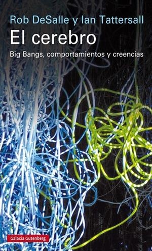 EL CEREBRO | 9788416252268 | DESALLE, ROB/TATTERSALL, IAN Y J WYNNE, PATRICIA | Galatea Llibres | Librería online de Reus, Tarragona | Comprar libros en catalán y castellano online