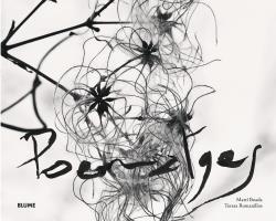 POEMATGES | 9788416965250 | BOADA, MARTÍ/ROMANILLOS, TERESA/RODRÍGUEZ FISCHER, CRISTINA | Galatea Llibres | Librería online de Reus, Tarragona | Comprar libros en catalán y castellano online