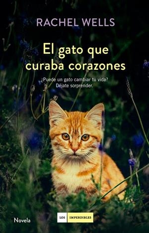 EL GATO QUE CURABA CORAZONES | 9788416634477 | WELLS, RACHEL | Galatea Llibres | Librería online de Reus, Tarragona | Comprar libros en catalán y castellano online