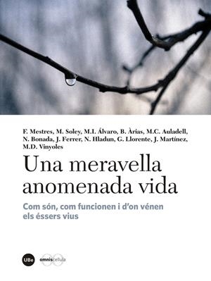 UNA MERAVELLA ANOMENADA VIDA | 9788447540310 | VV.AA. | Galatea Llibres | Llibreria online de Reus, Tarragona | Comprar llibres en català i castellà online