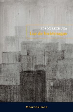 LUZ DE LUCIÉRNAGAS | 9788492616602 | LECHUGA, EDSON | Galatea Llibres | Librería online de Reus, Tarragona | Comprar libros en catalán y castellano online