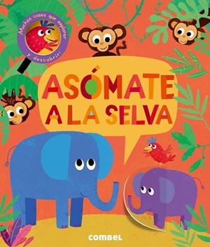 ASÓMATE A LA SELVA | 9788491011446 | LITTON, JONATHAN | Galatea Llibres | Llibreria online de Reus, Tarragona | Comprar llibres en català i castellà online