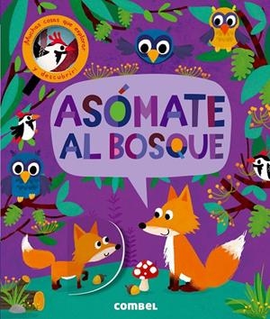 ASÓMATE AL BOSQUE | 9788491011460 | LITTON, JONATHAN | Galatea Llibres | Llibreria online de Reus, Tarragona | Comprar llibres en català i castellà online