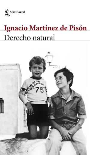 DERECHO NATURAL | 9788432232220 | MARTÍNEZ DE PISÓN, IGNACIO | Galatea Llibres | Llibreria online de Reus, Tarragona | Comprar llibres en català i castellà online