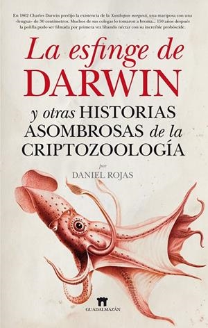 LA ESFINGE DE DARWIN | 9788493502751 | ROJAS PICHARDO, DANIEL | Galatea Llibres | Librería online de Reus, Tarragona | Comprar libros en catalán y castellano online